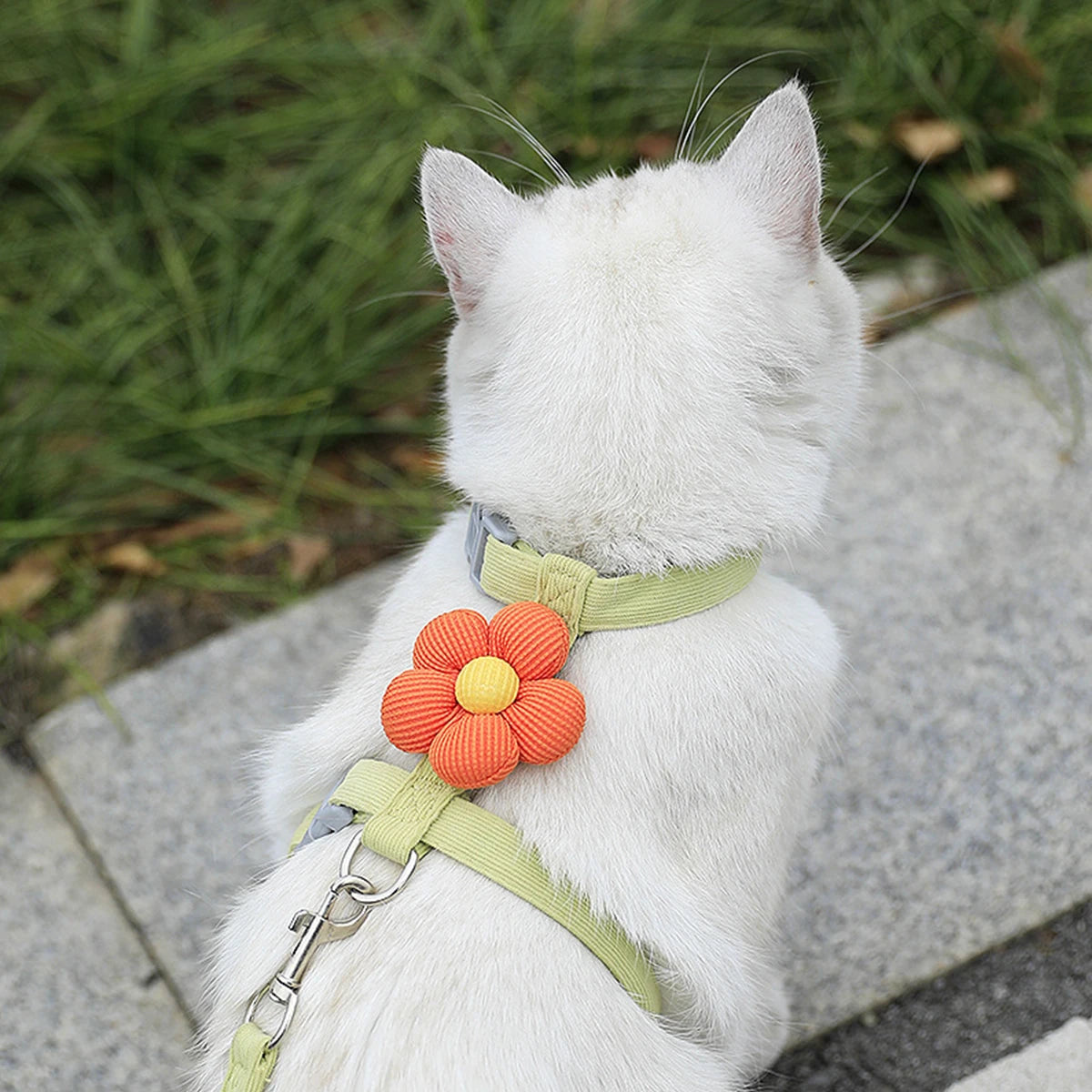 Adjustable Cat & Dog Harness with Leash Set