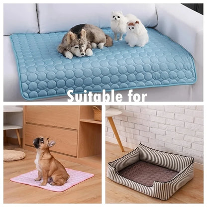 Hundekühlmatte – XL Größe, selbstkühlend & tragbar für große Hunde