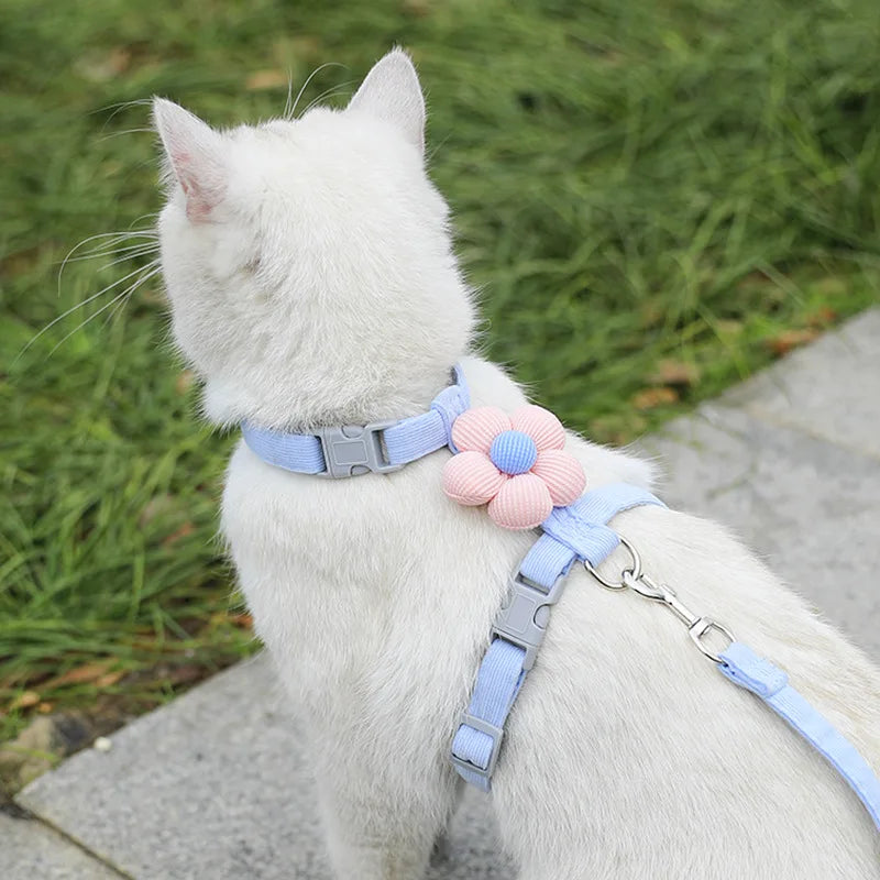 Adjustable Cat & Dog Harness with Leash Set