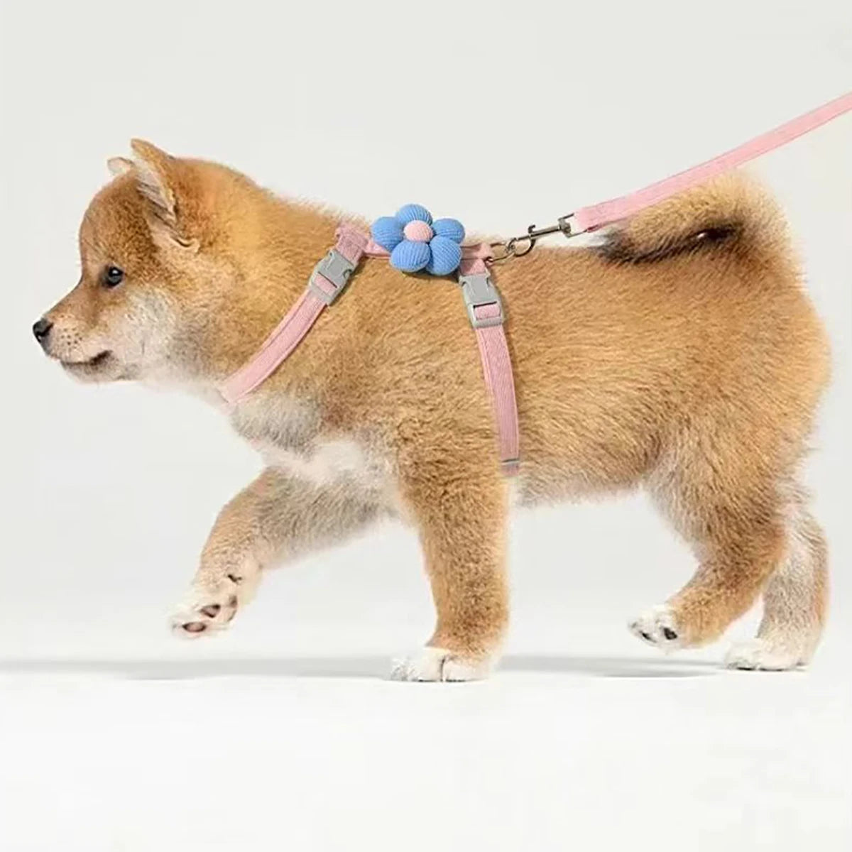 Adjustable Cat & Dog Harness with Leash Set