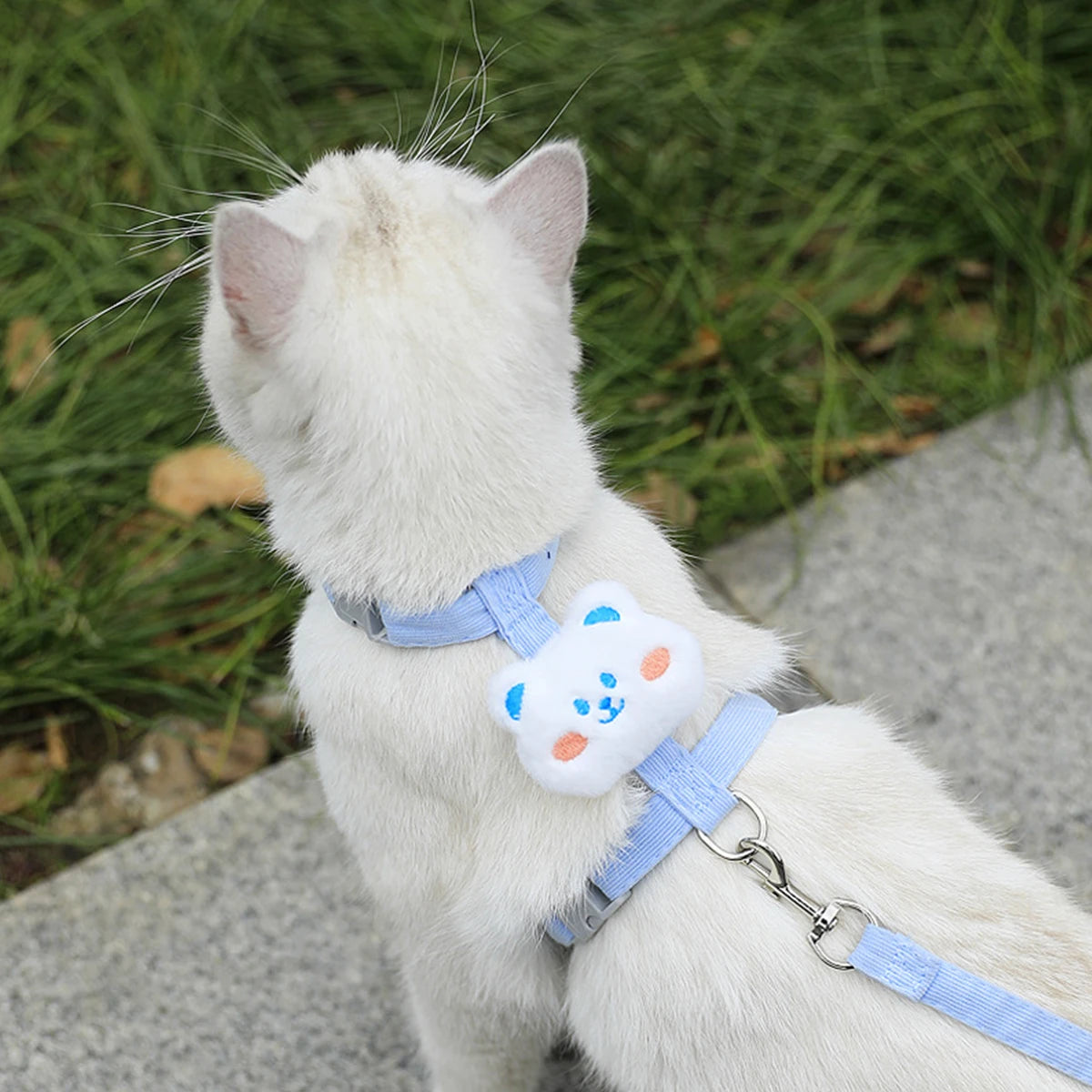 Adjustable Cat & Dog Harness with Leash Set