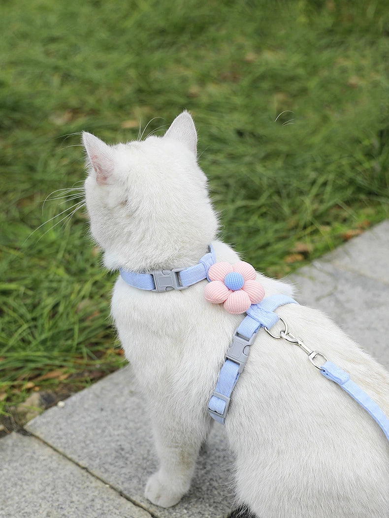 Adjustable Cat & Dog Harness with Leash Set