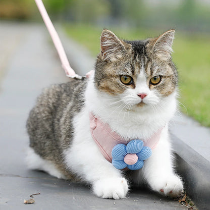 Adjustable Cat & Dog Harness with Leash Set