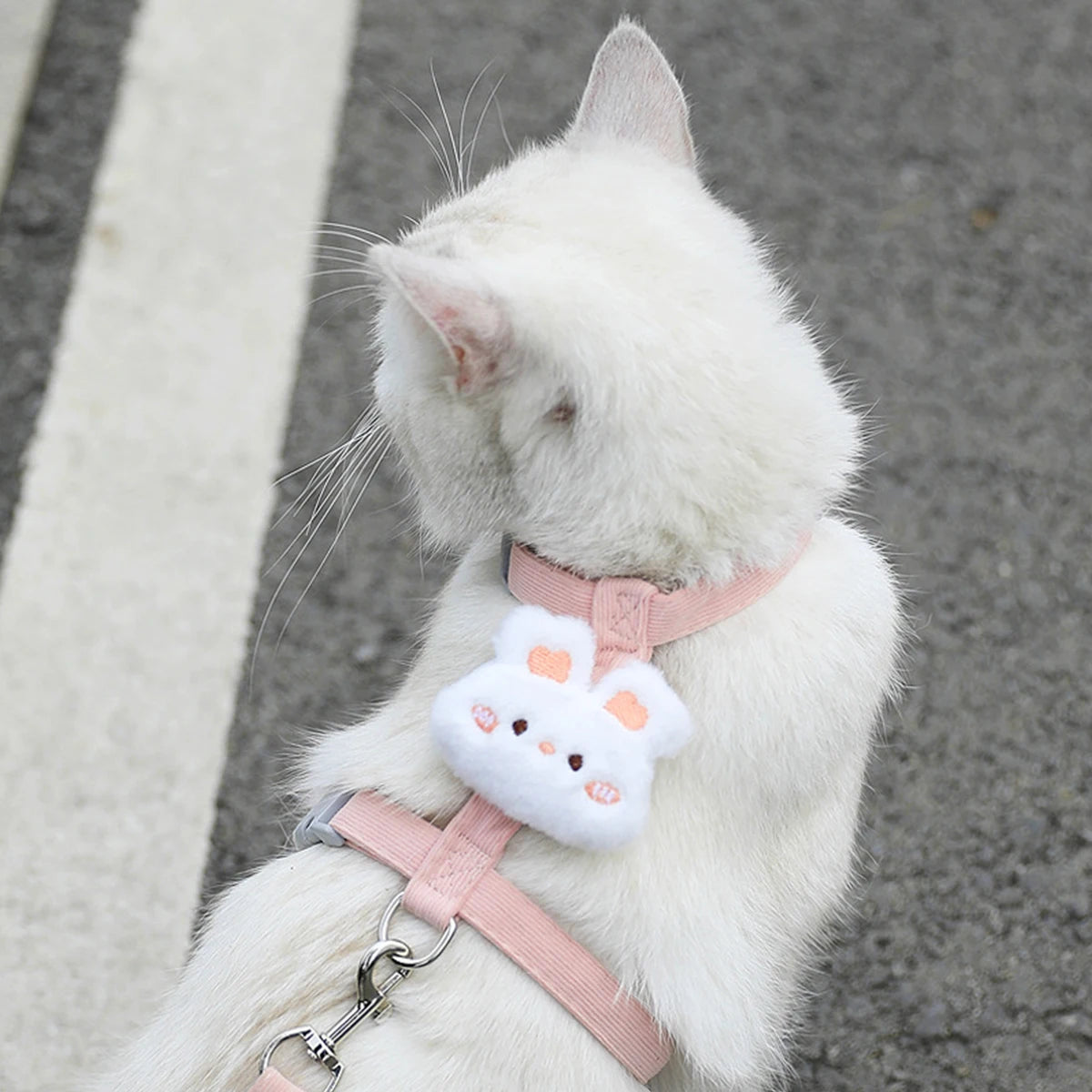 Adjustable Cat & Dog Harness with Leash Set